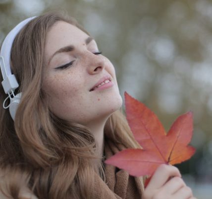 découvrez des chansons de tous genres, des paroles émouvantes et des mélodies envoûtantes sur notre plateforme de musique.